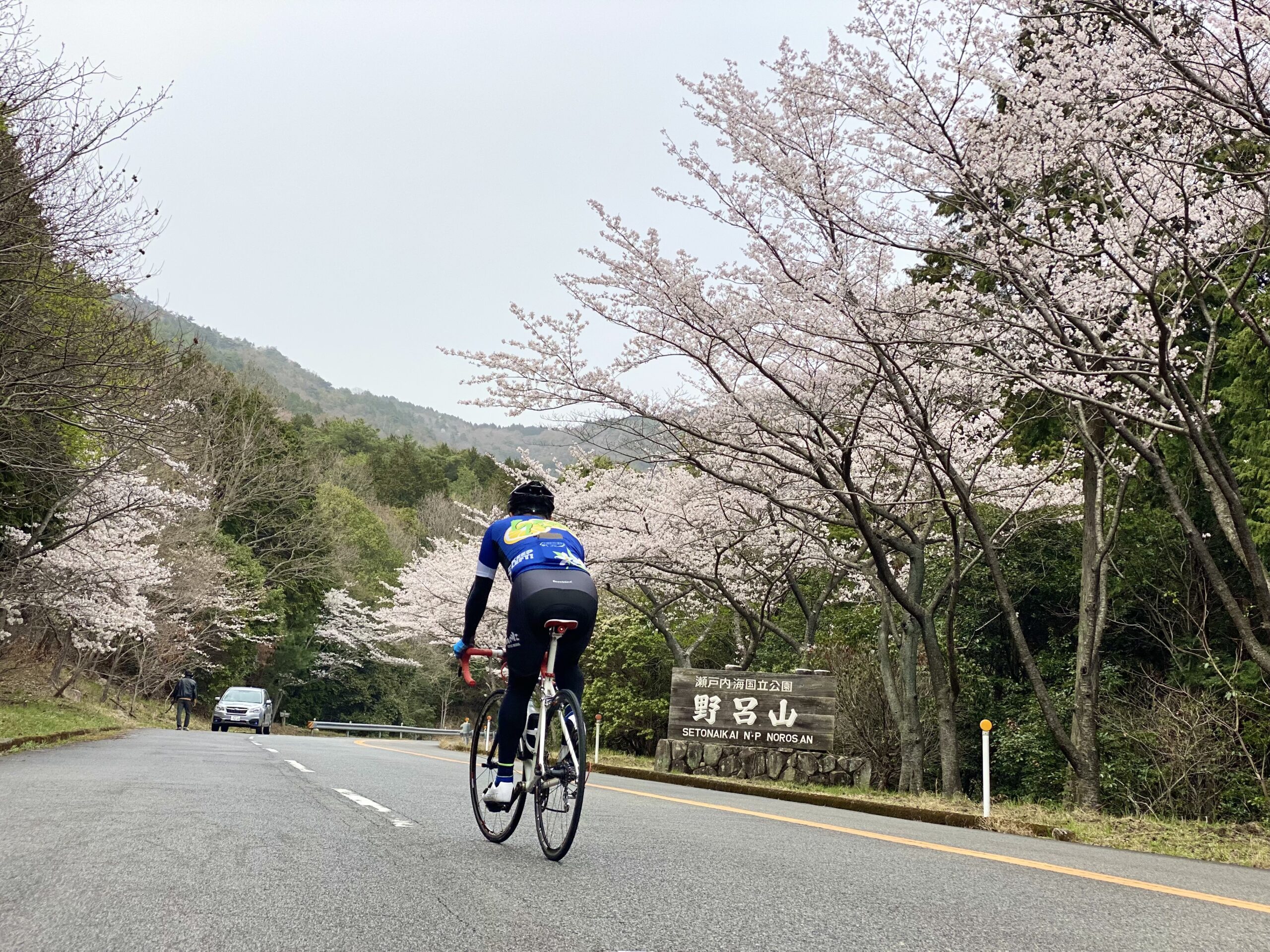 桜三昧、ヒルクライム大三元！ - スポワンKURE